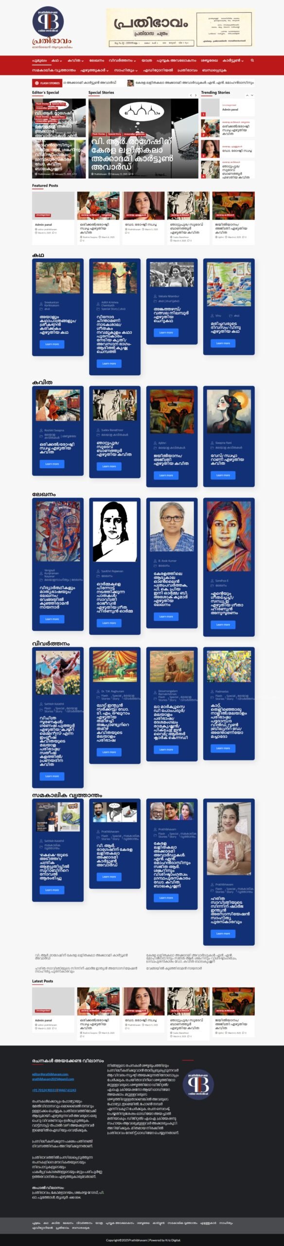 Portfolio Image