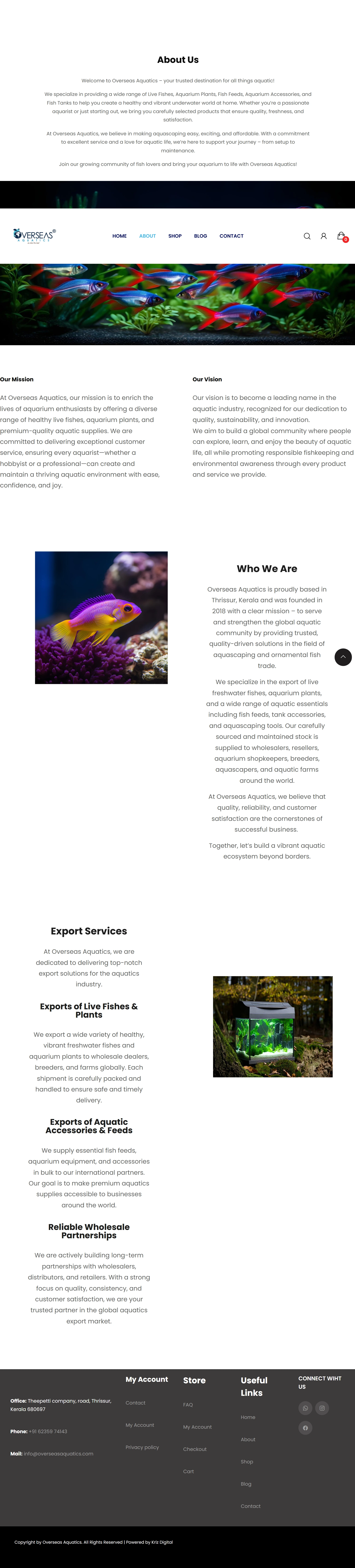Portfolio Image